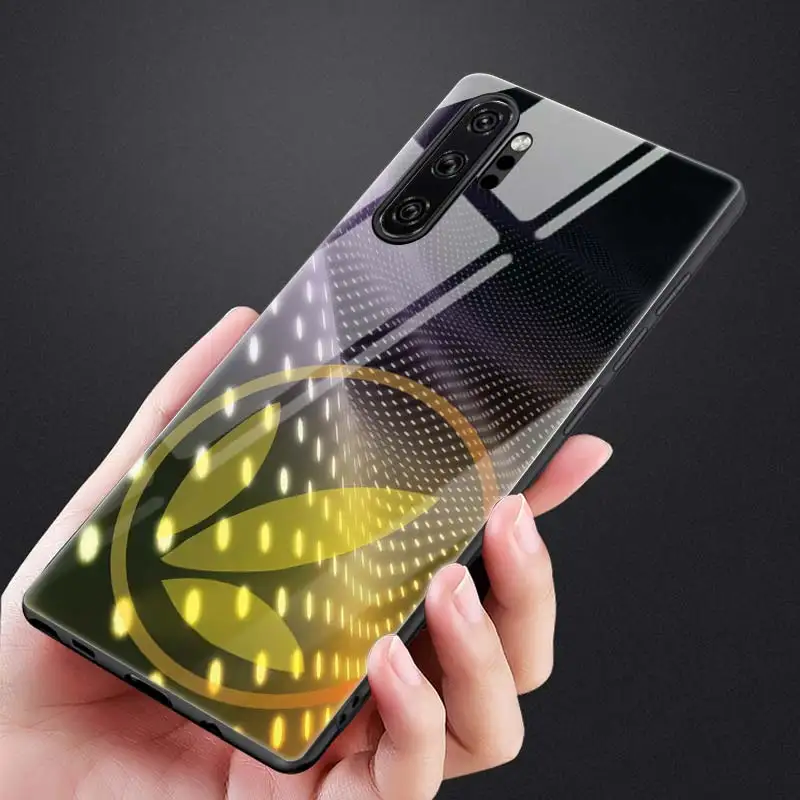 T19 Чехол из закаленного стекла для телефона samsung Galaxy S8 S9 S10 S10E S105G Note 9 10 Plus 5G Силиконовый мягкий чехол Herbalife - Цвет: T19