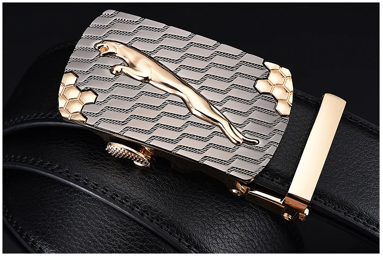 H15550d9575764e1580933be87a083979h.jpg?width=790&height=529&hash=1319