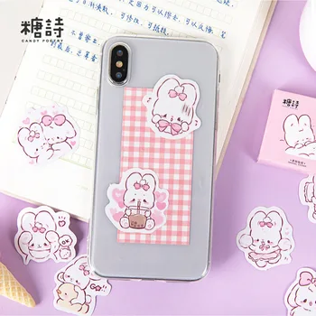 45 Pcs of Kawaii Rabbit Scrapbook Stickers 4