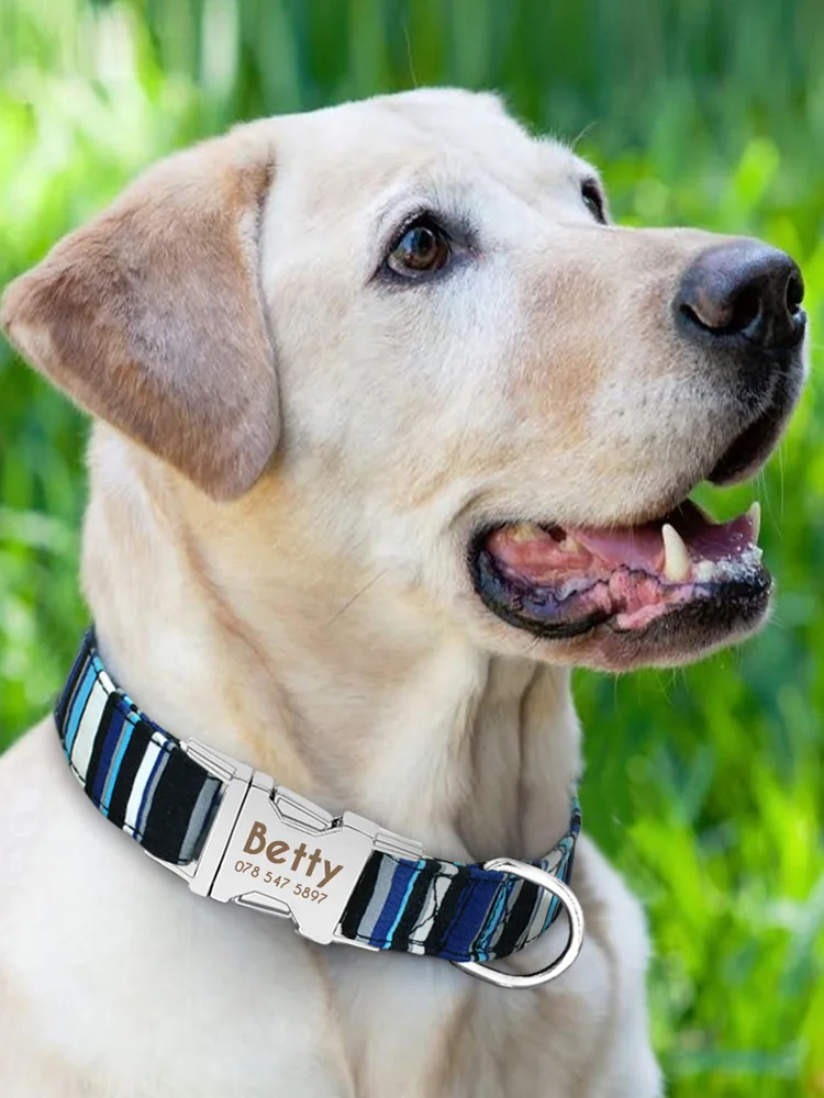 

Large Dog Dog Neck Ring Scarf Circle Collar Collar Golden Retriever Neck Pet Dog Set Dog Tag ID Lettering