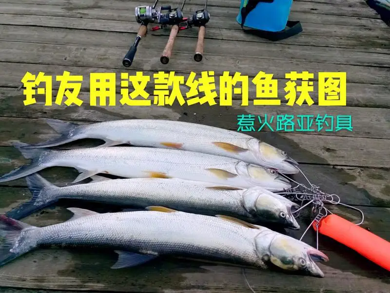 

[Long Shot) Zbx Super Smooth X8 Series 0.4 #~ 2.0 Small Things Ultra-Hot Lure PE Line Dyneema Fishing Line