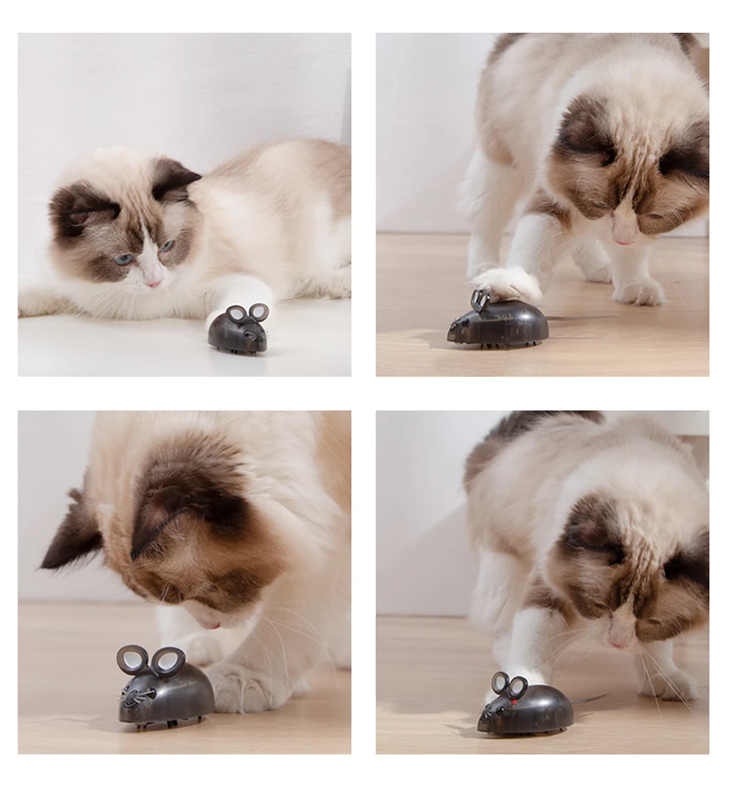 O1CN01MeqVQB1KHFG0hXTRc_!!2257681138