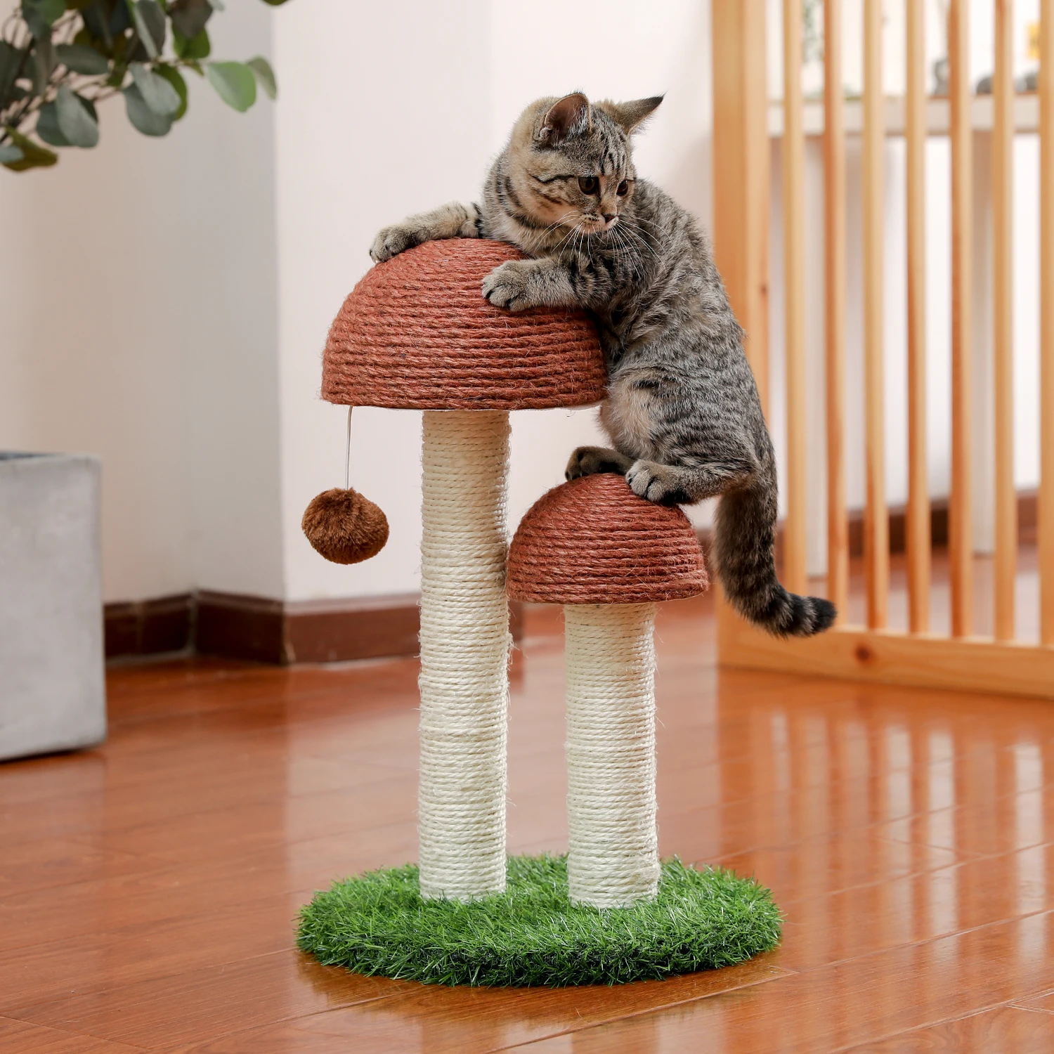 gatos, com bola natural, sisal para escalar,