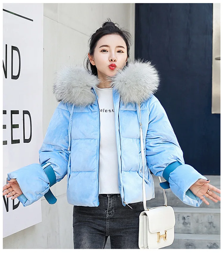 9165856082_1006637240