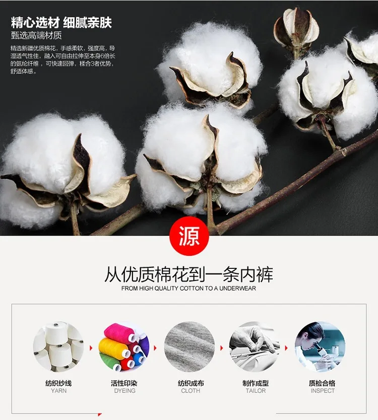 2562454808_1577523659