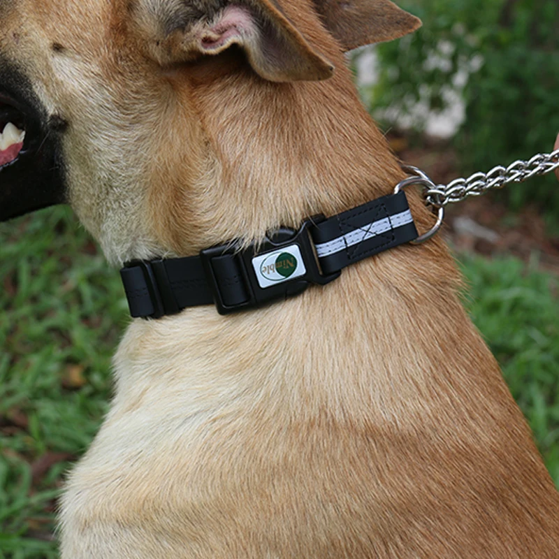sprint ultrasonic bark control device