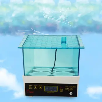 

Manual Garden Egg Hatcher Egg Incubator EU Plug Hatching Machine Fully Automated Utensil Mini 4Pcs Eggs Contain Home Use