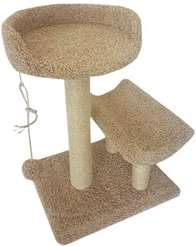 

Fluffy kittens Cook Fluffy beige carpet