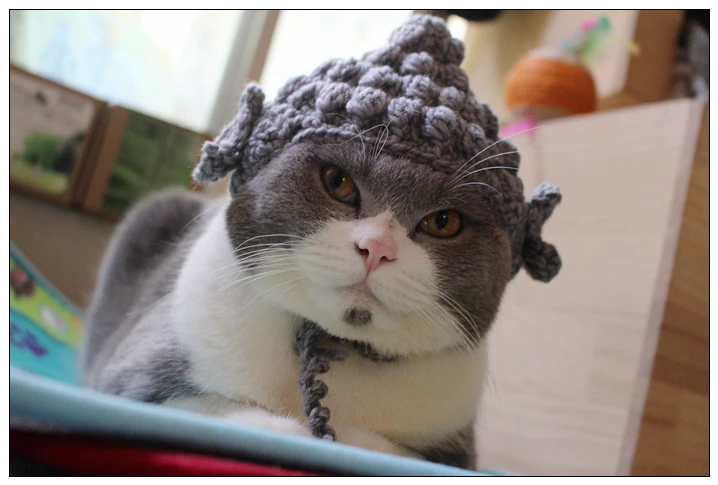 Шапка Будды, кошка, вязаная шапка, милый головной убор для домашних животных, товары для домашних животных, Забавный костюм фурри, модельная шапка для кошек, аксессуары