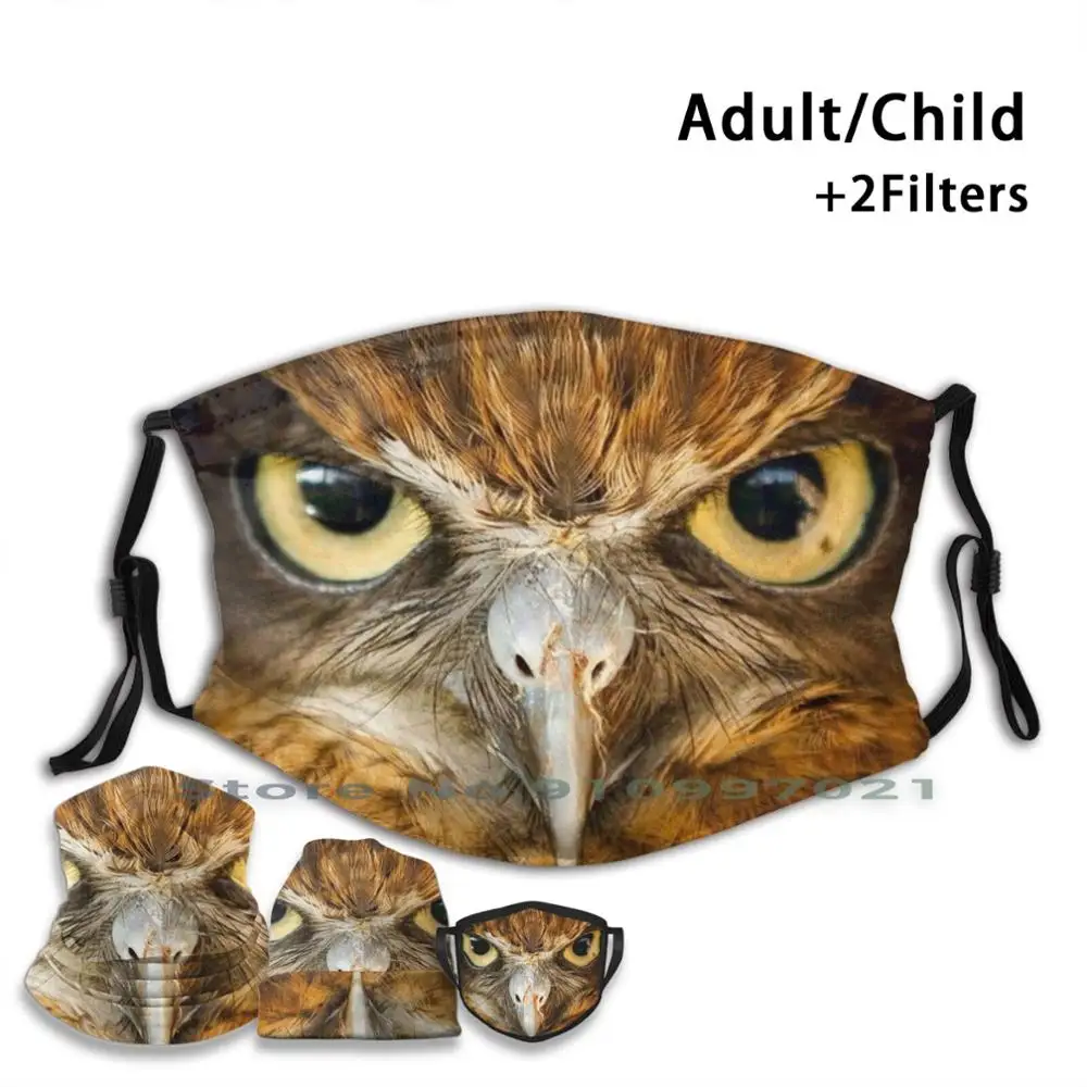 

Non-Disposable Mouth Face Mask PM2.5 Filters For Child Adult Birds Owl Angry Silhouette Nature Dark Background Wild Face Eyes
