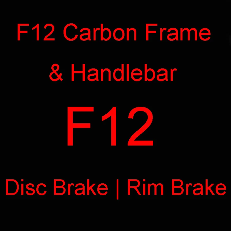 carbon road frame 2019 new