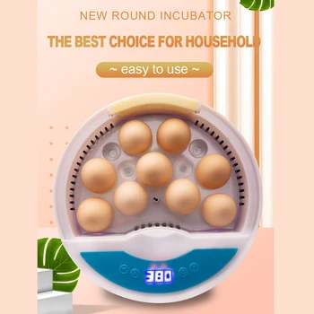 

HHD Full Automatic Incubator Farm Brooder Hatchery Machine Child 9 egg LED Temperature humidity controller Chicken Bird Quail