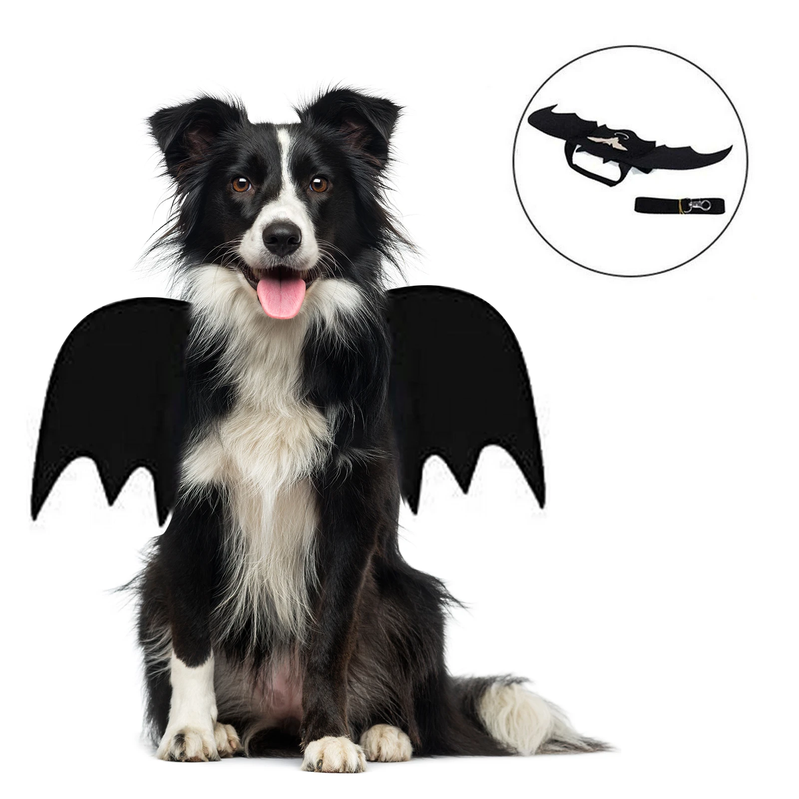 Ropa de Mascota para Halloween, arnés negro con alas de murciélago para  Cosplay de gato, perro, fiesta de Halloween, suministros para mascotas|Ropa  para gatos| - AliExpress