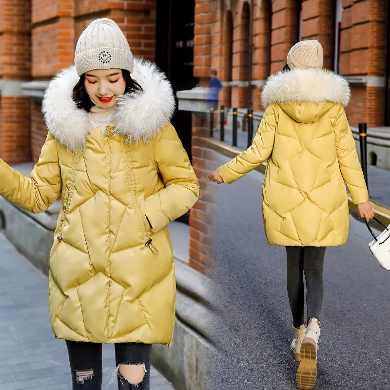 

Short Mixed Colors Cool Casual Fashion Elegant Hooded Cool Versatile Loose Casual