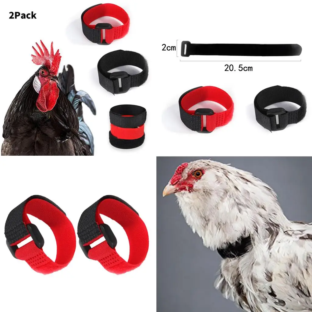 2pcs No Crow Collar for Roosters No Crowing Belt Neckband Poultry Supplies Neckband Anti Hook Neck Belt for Cockerel
