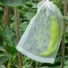 100Pcs/set Garden Netting Bags Vegetable Grapes Apples Fruit Protection Bag Pouch Agricultural Pest Control Anti-Bird Mesh Bags