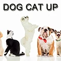 Dog Cat Up Store