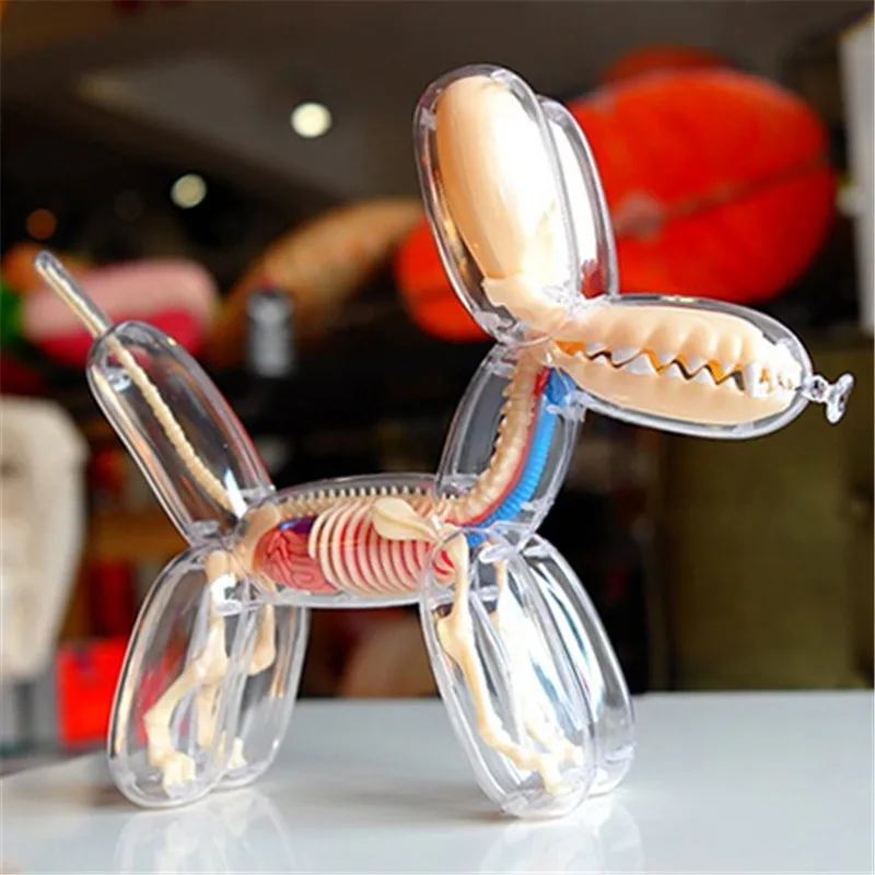 

Skeleton Model Perspective Bone Anatomy Puzzle Assembling Veterinary Toy 26parts 4d Big Balloon Dog Transparent