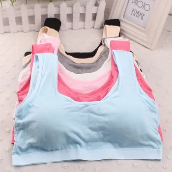 

Soild Kids Girls Underwear Bra Vest Children Underclothes Sport Undies Clothes Training Bras underwear young teens in lingerie