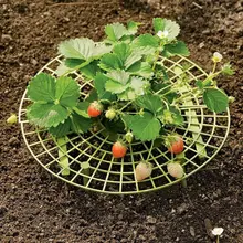 Клубника пластиковая Поддержка растений для клубники Садовые принадлежности 5 шт