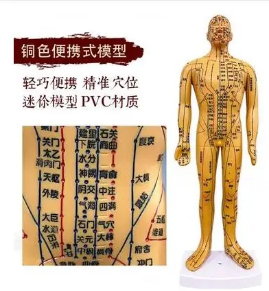 35 см женский точечный Мини манекен для тела акупунктуры медицинское