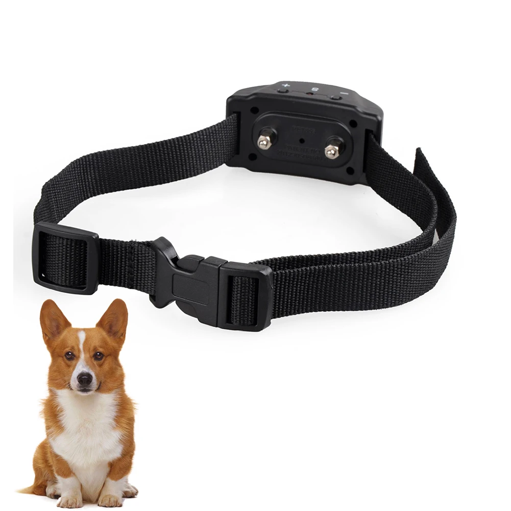 corgi bark collar