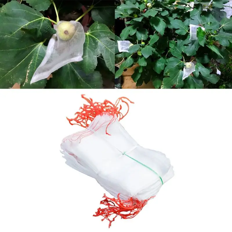 Нейлоновый сетчатый мешок с защитой от насекомых, фильтр для замачивания семян фруктов, Pitaya, анти-летающие мешки