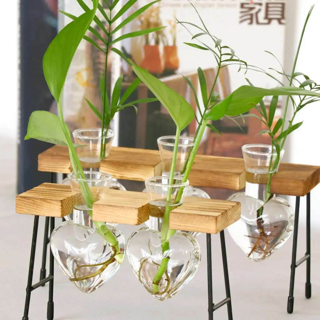 Glass Test Tube Vase In Wooden Stand Flower Pots For Hydroponic Plant-3