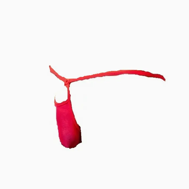 Candy Cherries Sexy Thongs Men Extra Slim Mesh Panties Multi Colors Jockstrap Soft G-String Micro Gay Underwear N1002