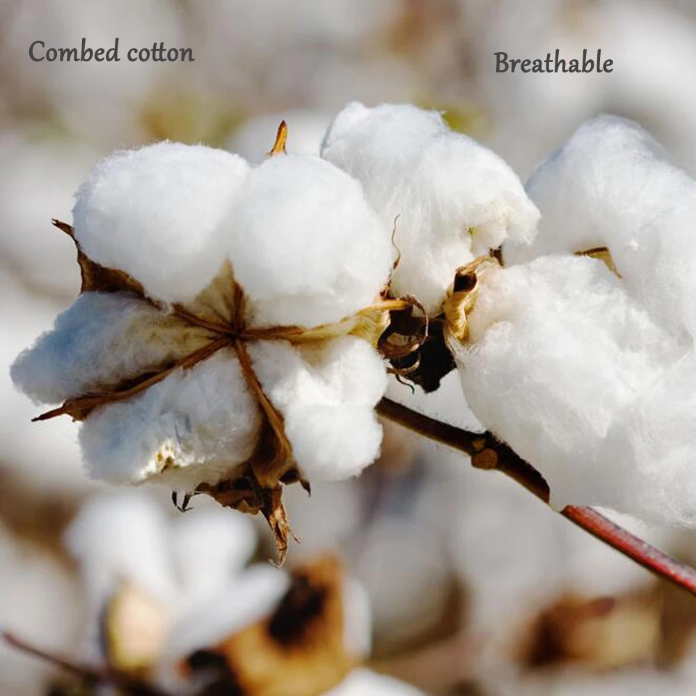 cotton