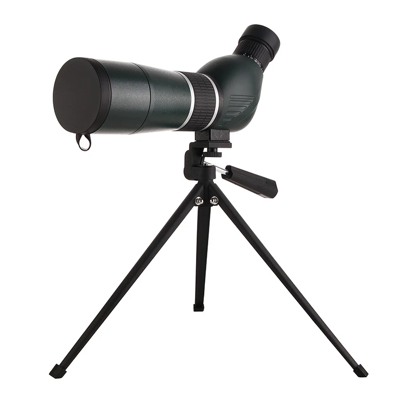 5812843795_1017470785