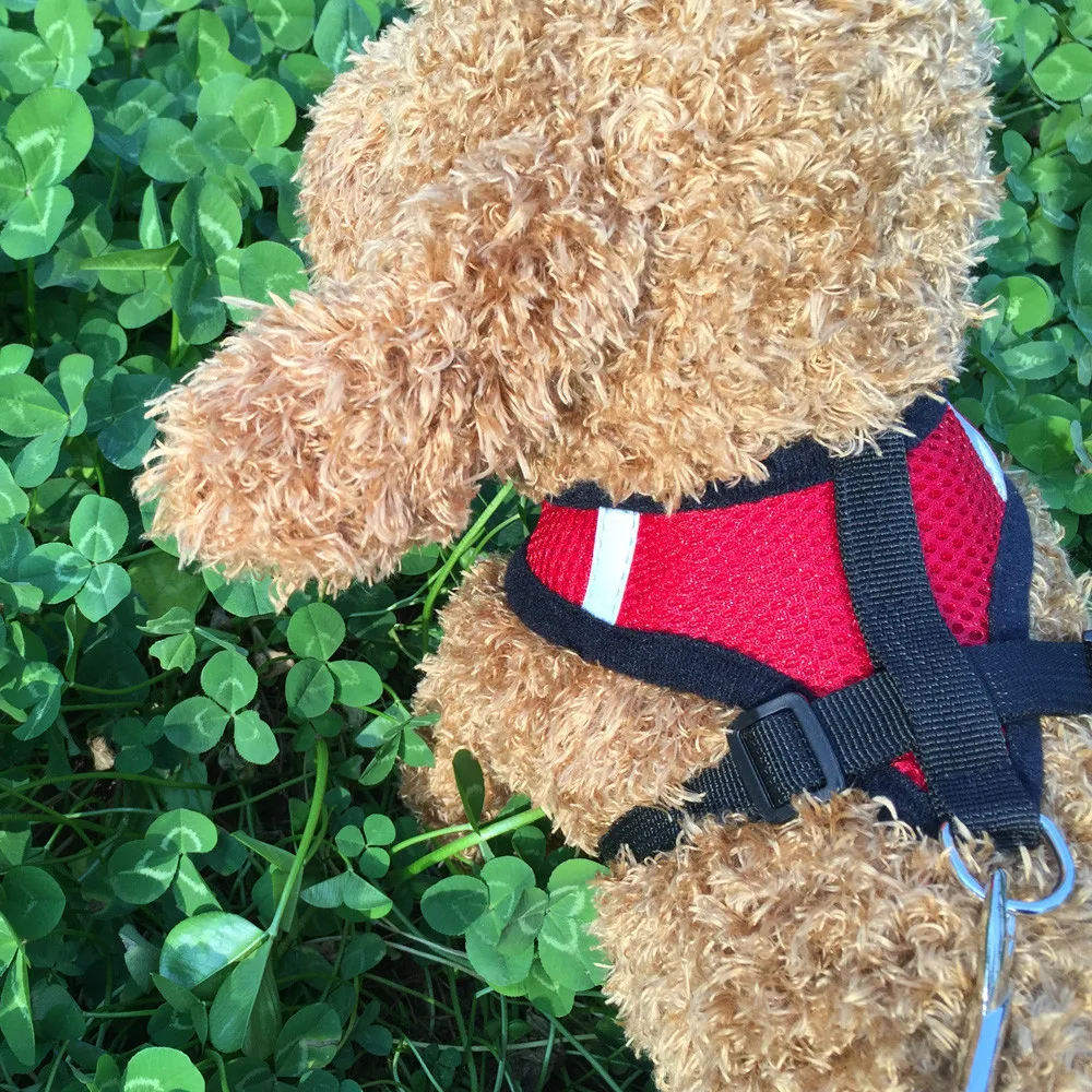 Chong собака Кот ведет грудные ремни Небольшие домашние Регулируемый прочный