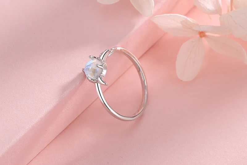 12737854214_1646359543