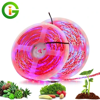 

LED Strip Light 300 LEDs 5050 Chip