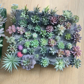 

12pcs Mixed Artificial Succulents Plant Fake Plants Garden Home Office Decoration Plastic Flocking Coating Plant Green Decor