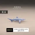 29 blue sharks