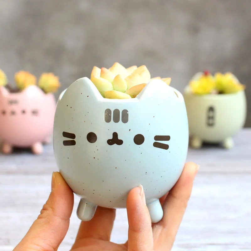 

Succulent Plant Pot With Hole Cute Animal Flower Planter Cactus Flowerpot Home Garden Desktop Balcony Decor Birthday Gift