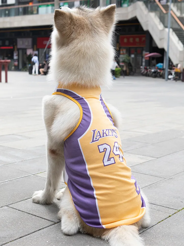 cat jersey,Save up to