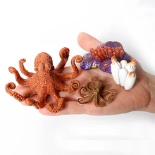 Simulado ciclo de vida do polvo estatuetas realista vida marinha animais criatura ciclo de crescimento modelo figura ciência brinquedos educativos