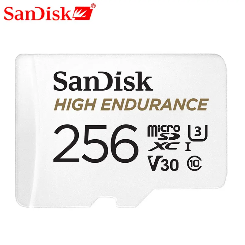 SanDisk карта micro SD с высокой выносливостью 32 Гб 64 памяти MicroSD 128 ГБ 256 класс 10 U3 V30 Micro