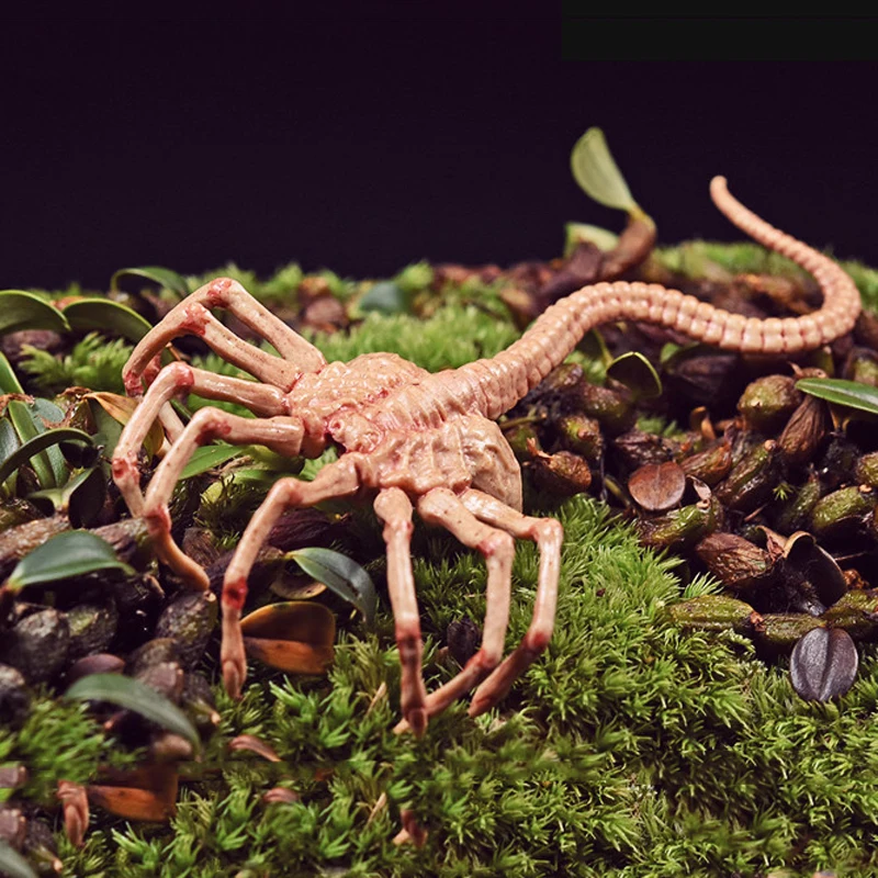 

Fire Girl Toys FG0281/6 Scale Alien Predator Chestburster Facehugger Model Alien Xenomorph Alien Figure for 12"Action Figure