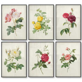 

Botanical Rose Flower Vintage Poster Canvas Print Red Pink Yellow White Rose Floral Antique Wall Art Canvas Painting Home Decor
