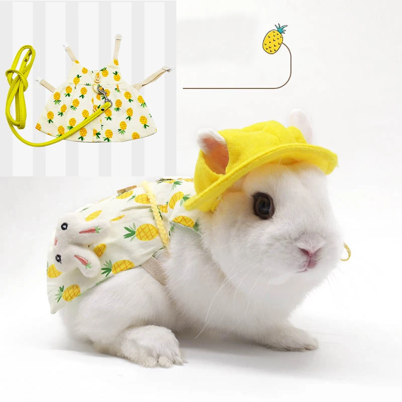 Simpatico coniglietto accessori per gilet per animali domestici guinzaglio  per esterni vestiti per coniglio guinzaglio per cinturino per coniglio  vestito per vestiti imbracatura per coniglio| | - AliExpress