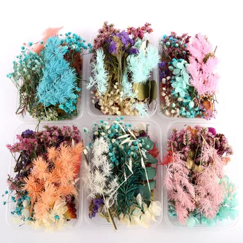 

A box of dried flowers DIY preserved flowers home decoration crafts pendant necklace jewelry manicure accessories