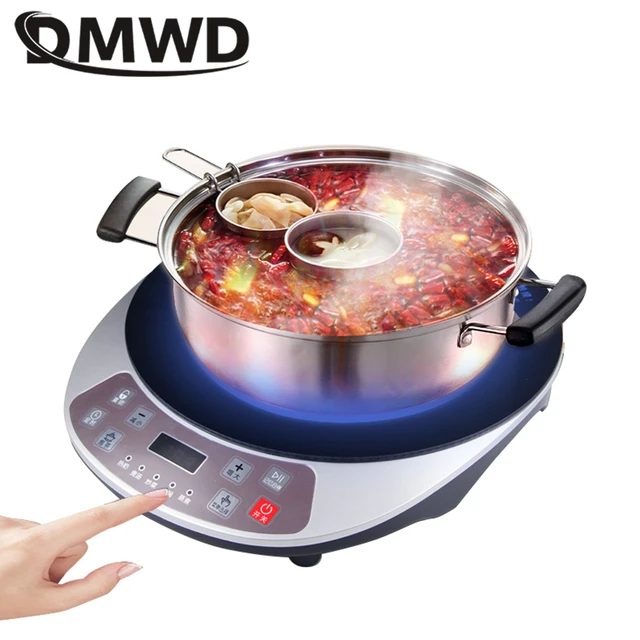 Hot Plate Electric Cooker Induction Cooker New Homehold High-Power Hot Pot  Stir-Fry Tea-Boiling Stove Light Wave Small - AliExpress