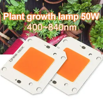

50W Diode Grow Light Plant Growth Light Grow Light Bulbs Lighting Garden Outdoor Durable