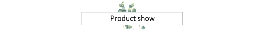  aeProduct. getSubject () 