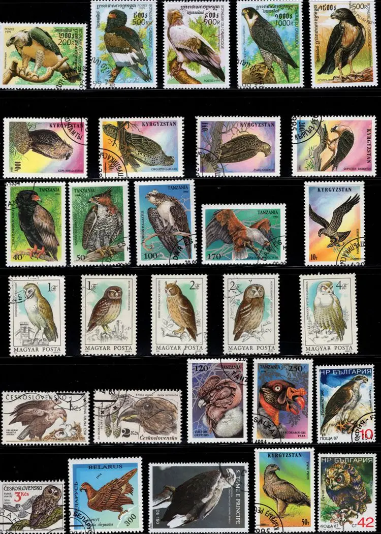 50 Pz/Lotto Uccello Delle Prede Aquila Timbro Argomento Tutti Diversi Da Molti Paesi No Ripetere Francobolli Con Timbro Postale Raccolta