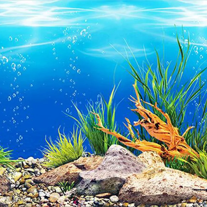 Lixf Aquarium Background Paper Hd Picture 3d Three Dimensional Fish Tank Wallpaper Background Painting Double Sided Aquarium Dec Decorations Aliexpress