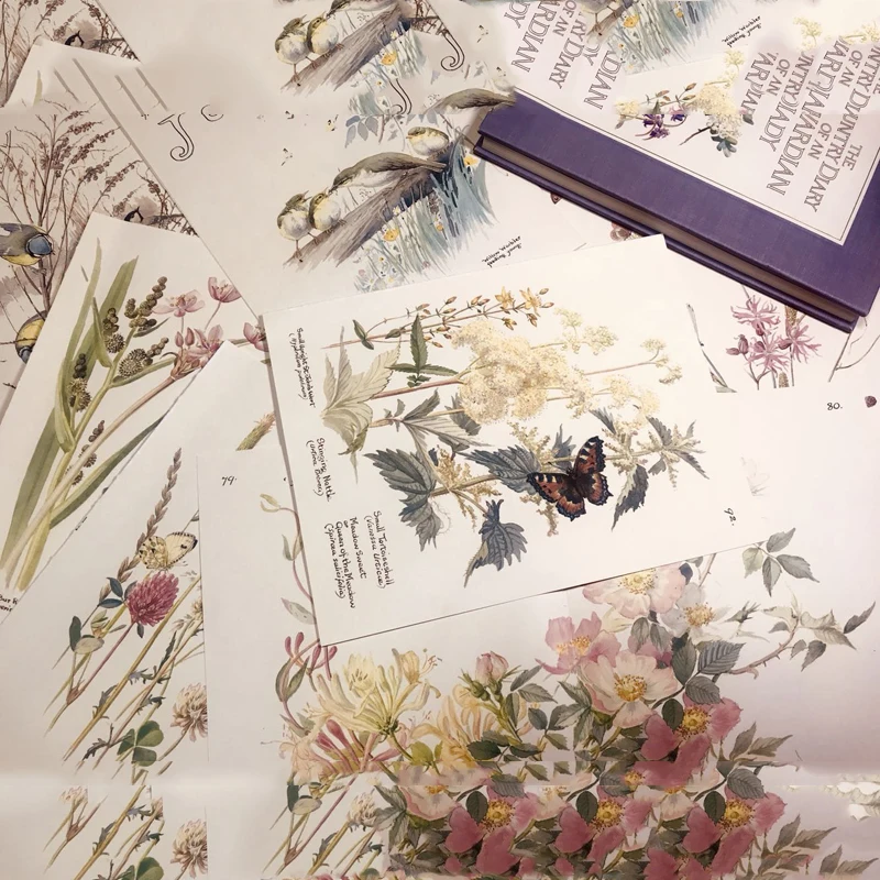 

33pcs Vintage British Country Flowers Watercolor Collage Peony Bird Tag Mushroom Background Paper Label Sticker Scrapbooking